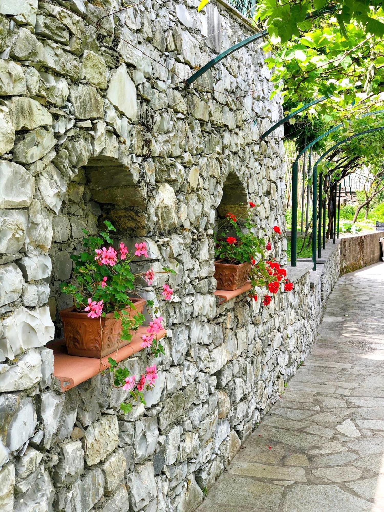 Hotel Villa Edera&La Torretta Moneglia Esterno foto